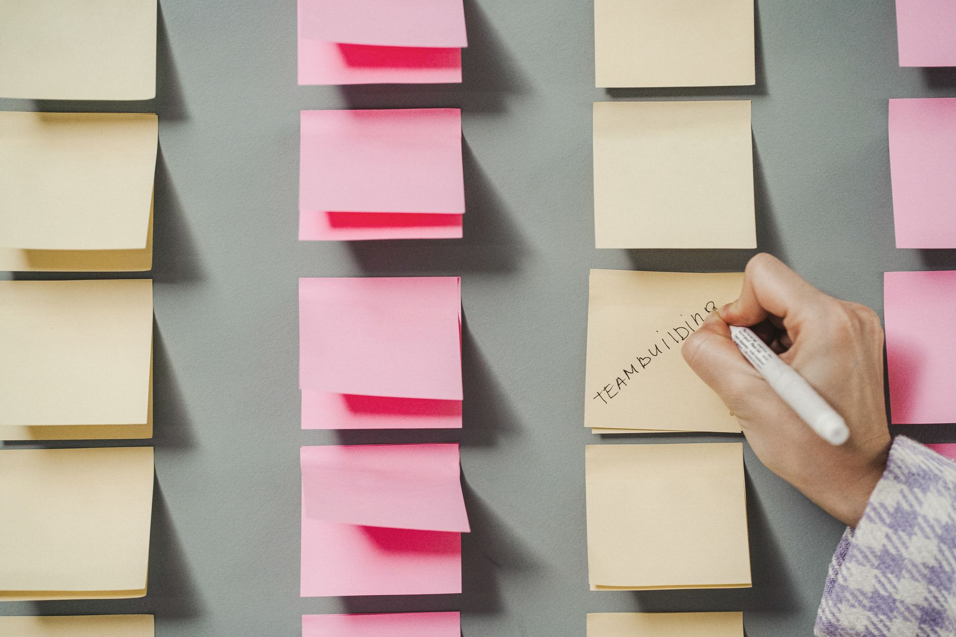 Asana ou Trello : quel outil pour gérer vos projets